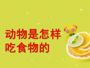 大班科学《动物怎样吃食物》PPT课件新建-动物怎样吃食物-肖稿.pptx