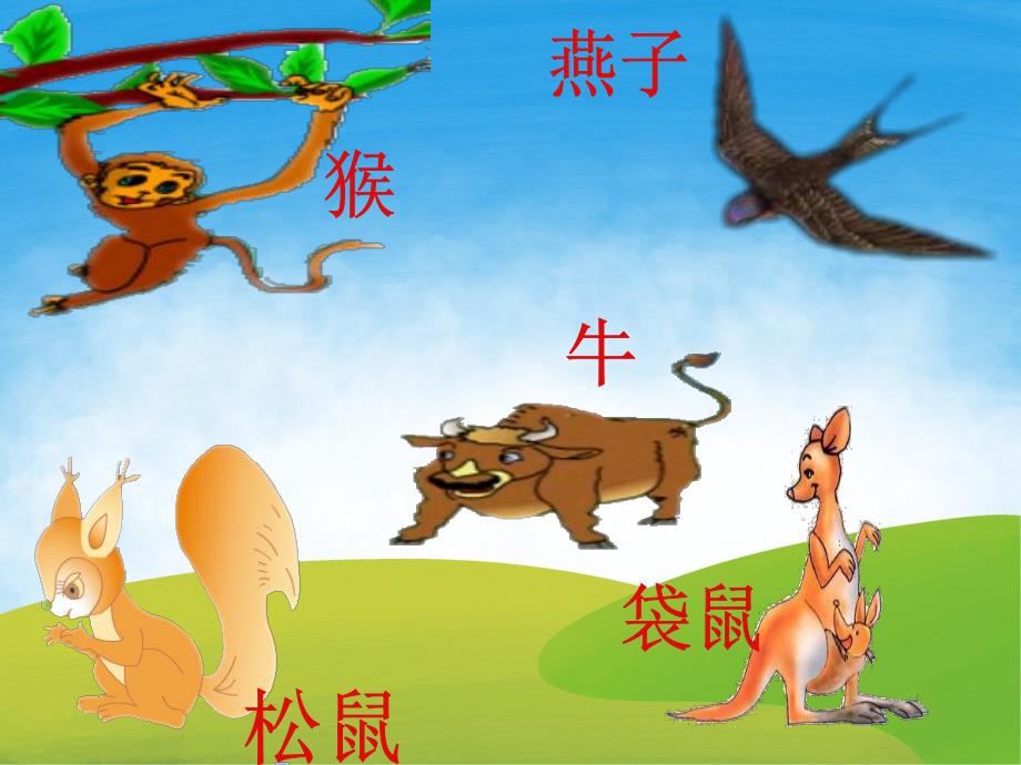 小班科学《动物找尾巴》PPT课件教案动物找尾巴.pptx_第3页