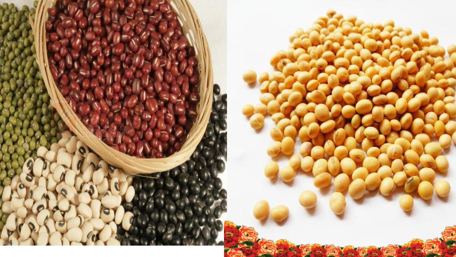 大班健康《豆类朋友来聚会》PPT课件教案(豆宝宝的一家)演示文稿.pptx_第2页