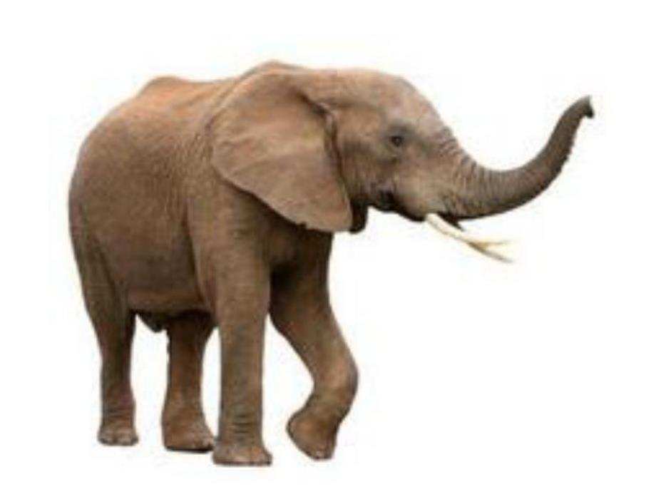 小班数学活动《5以内的点数》PPT课件教案数学《5以内的点数》.pptx_第2页