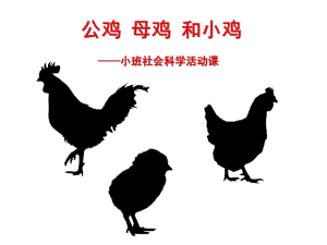 小班社会科学活动课《公鸡、母鸡和小鸡》PPT课件教案配音公鸡、母鸡和小鸡.pptx