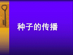 大班科学活动《种子的传播》PPT课件教案大班科学活动：种子的传播.pptx