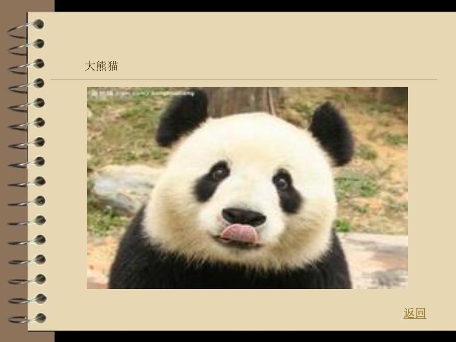 中班美术活动《动物的新家》PPT课件教案.pptx_第3页