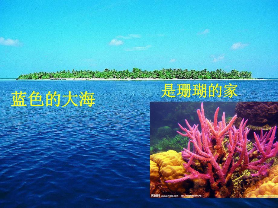 大班语言《家》PPT课件教案大班语言--诗歌《家》.pptx_第2页