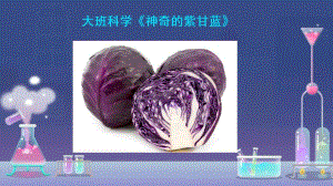 大班科学《神奇的紫甘蓝》PPT课件教案大班科学《神奇的紫甘蓝》微课件.pptx