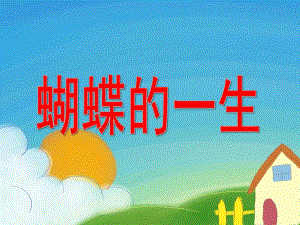 大班科学活动《蝴蝶的一生》PPT课件教案.pptx
