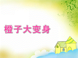 中班艺术《橙子大变身》PPT课件教案微课件.pptx