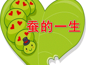 大班科学活动《蚕的一生》PPT课件教案大班科学课件《蚕的一生》PPT课件.pptx