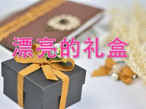 大班数学《漂亮的礼盒》PPT课件教案PPT课件.pptx