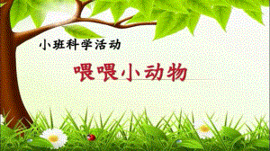 小班科学《喂喂小动物》PPT课件教案小班科学《喂喂小动物》课件.pptx