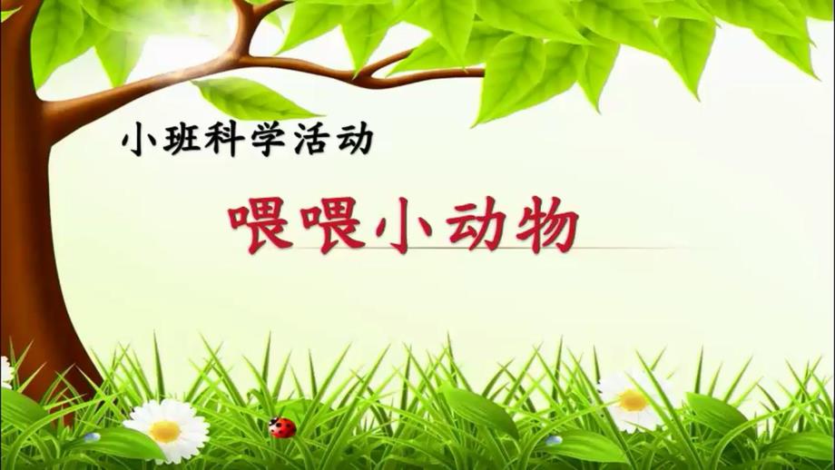小班科学《喂喂小动物》PPT课件教案小班科学《喂喂小动物》课件.pptx_第1页
