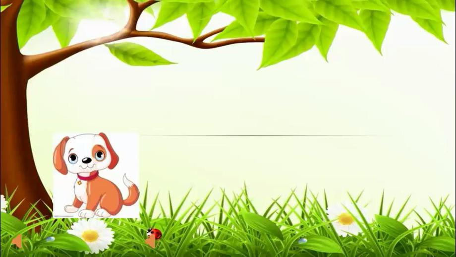 小班科学《喂喂小动物》PPT课件教案小班科学《喂喂小动物》课件.pptx_第2页