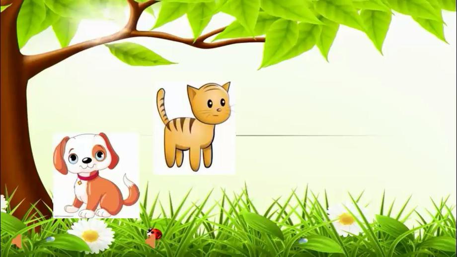 小班科学《喂喂小动物》PPT课件教案小班科学《喂喂小动物》课件.pptx_第3页