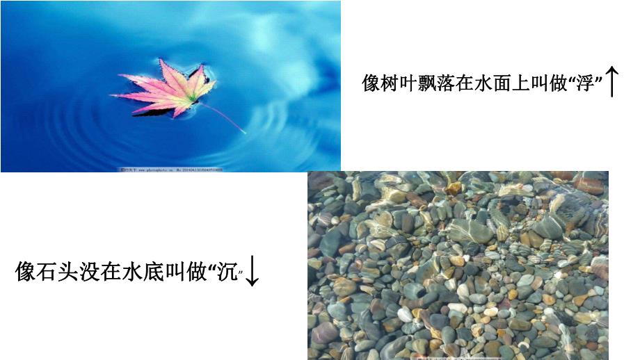 大班科学《浮与沉》PPT课件教案微课件.pptx_第2页