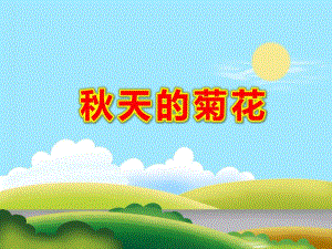 大班美术《天的菊花》PPT课件教案菊花.pptx