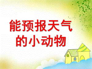 大班科学《预报天气的小动物》PPT课件教案能预报天气的小动物.pptx