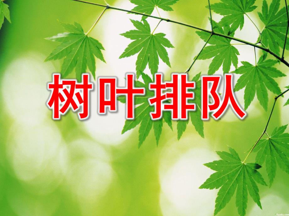 小班数学活动《树叶排队》PPT课件教案树叶排队.pptx_第1页