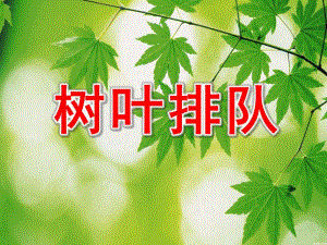 小班数学活动《树叶排队》PPT课件教案树叶排队.pptx