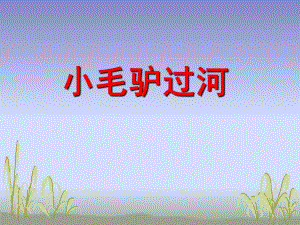 大班故事《小毛驴过河》PPT课件教案小毛驴过河PPT.pptx