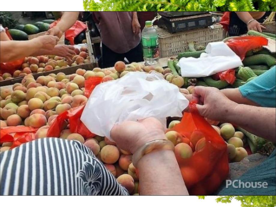 大班科学《少用塑料袋》PPT课件教案.pptx_第2页