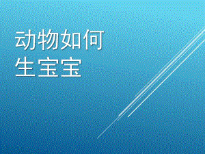 大班科学活动《动物如何生宝宝》PPT课件教案动物如何生宝宝.pptx