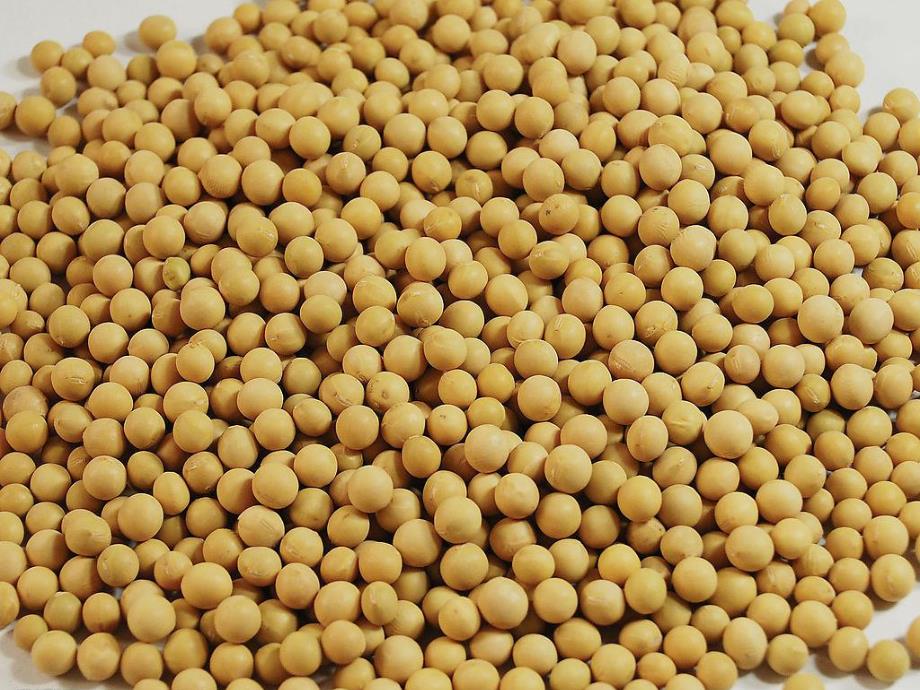 大班科学课件《豆豆家族》PPT课件教案各种各样的豆子.pptx_第2页