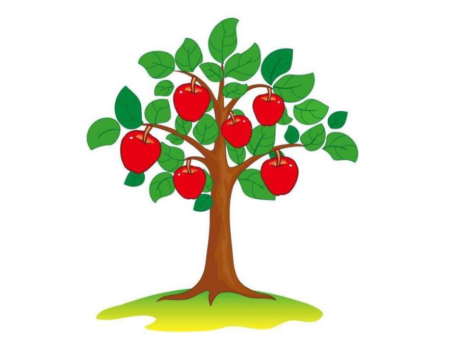 中班美术《天的果实》PPT课件教案PPT课件.pptx_第3页