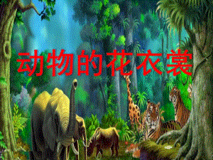 大班美术《动物花衣裳》PPT课件大班美术《动物花衣裳》.pptx