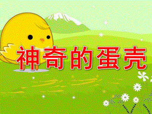 大班科学《神奇的蛋壳》PPT课件教案大班科学：神奇的蛋壳.pptx