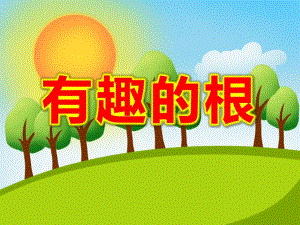 大班科学课件《有趣的根》PPT课件教案根的秘密.pptx
