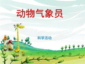 大班科学《动物气象员》PPT课件教案动物气象员.pptx