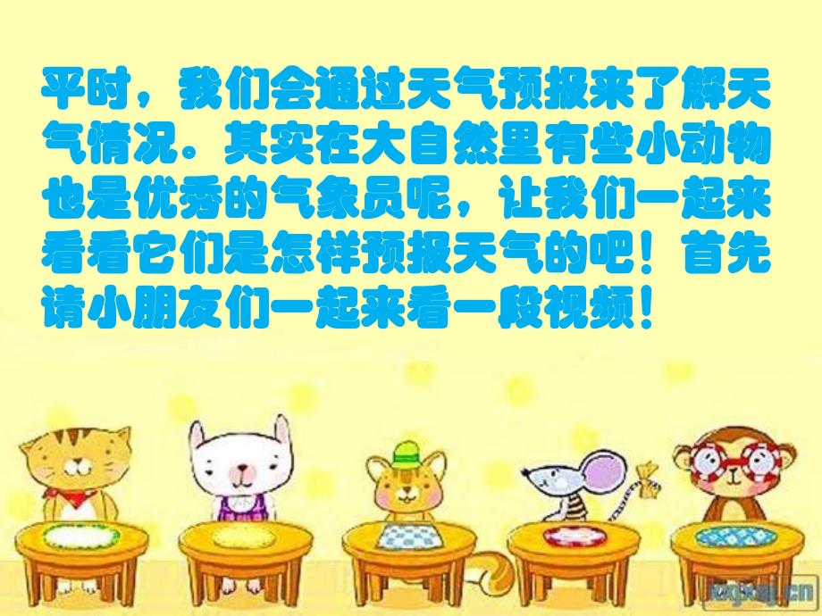 大班科学《动物气象员》PPT课件教案动物气象员.pptx_第3页