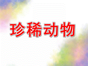 大班社会活动《珍稀动物》PPT课件教案幼儿科学：珍稀动物课件.pptx