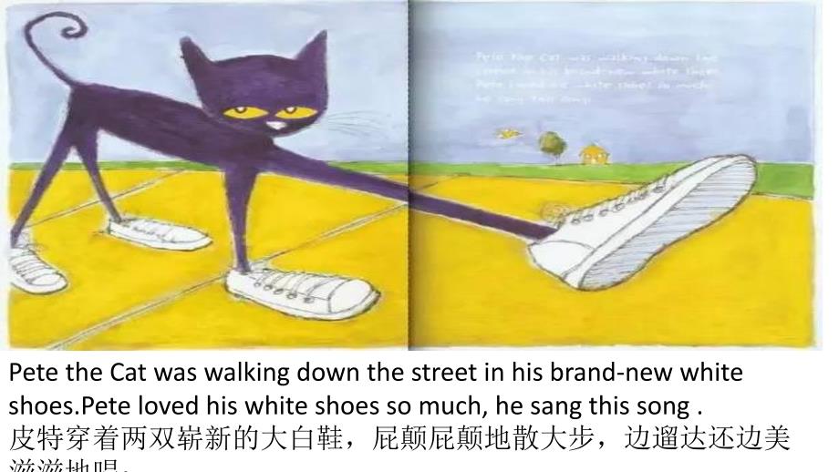 大班语言《I love my white shoes》PPT课件教案微课件.pptx_第2页