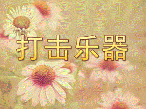 大班《打击乐器》PPT课件打击乐器.pptx