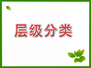 大班科学《层级分类》PPT课件教案微课件.pptx