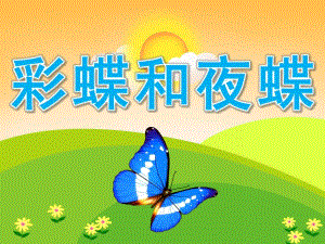 大班科学《彩蝶和夜蝶》PPT课件教案PPT课件.pptx