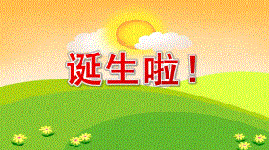 小班语言《诞生啦！》PPT课件教案小班语言《诞生啦！》课件.pptx