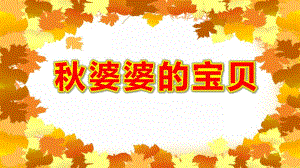婆婆的宝贝PPT课件教案图片微课件.pptx