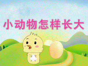中班科学《小动物怎样长大》PPT课件教案PPT课件.ppt