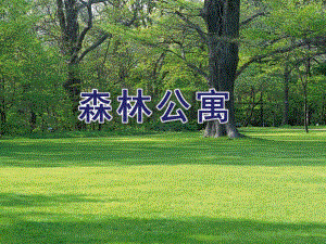 中班序数《森林公寓》PPT课件教案ppt课件.ppt