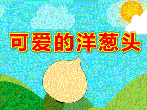 可爱的洋葱头PPT课件教案洋葱.ppt
