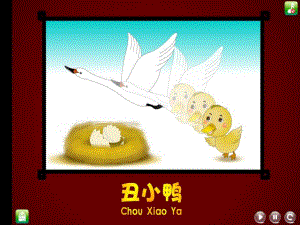 中班社会《丑小鸭》PPT课件教案.ppt