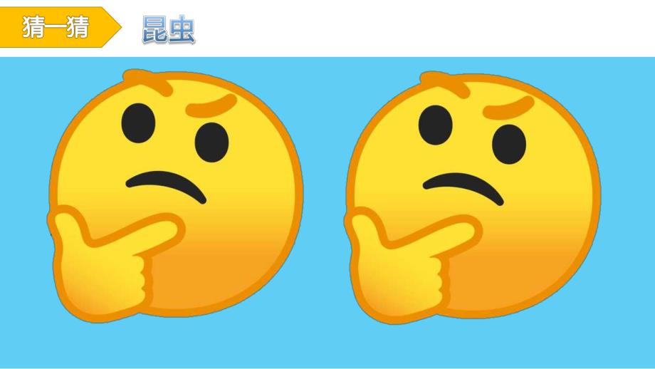 中班科学教育活动《昆虫招聘会》PPT课件教案PPT课件.ppt_第3页