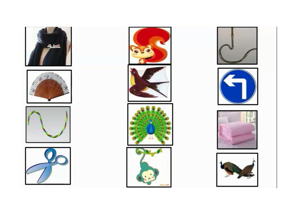 y670.中班科学《动物的尾巴》教具图.ppt_第2页