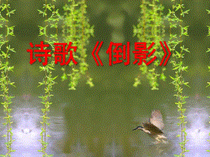 中班语言活动《倒影》PPT课件教案幼儿园中班语言活动PPT诗歌《倒影》.ppt