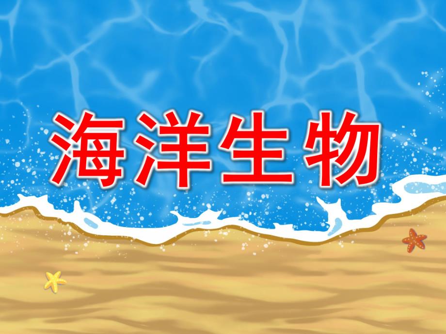 中班科学《海洋生物》PPT课件教案海洋生物图片-幼儿园.ppt_第1页