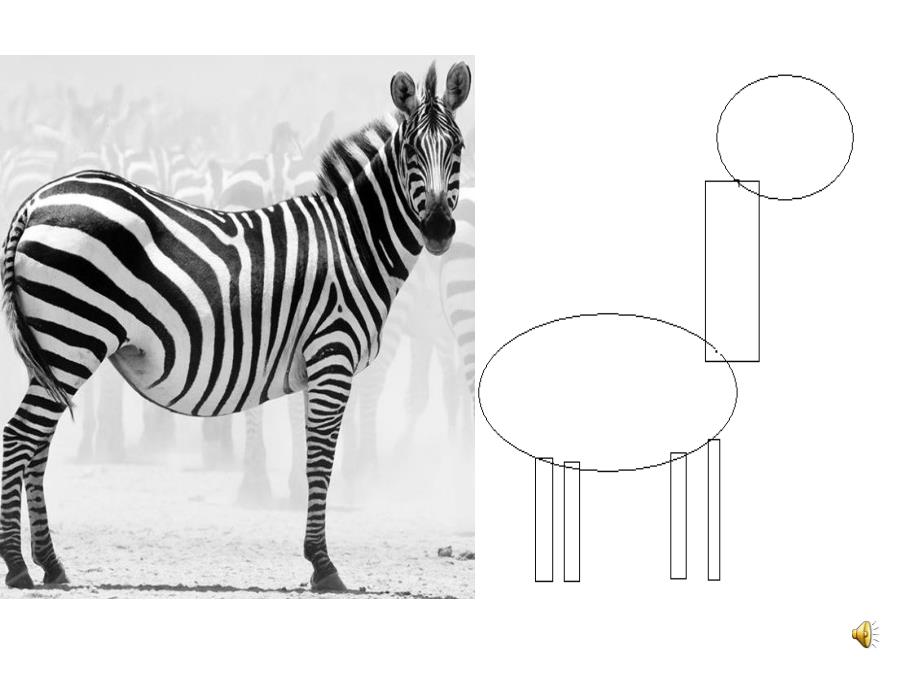 中班美术活动《小斑马》PPT课件教案PPT课件.ppt_第3页