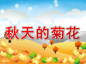 中班科学《天的菊花》PPT课件教案天的菊花.ppt