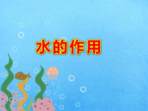水的作用PPT课件教案图片水的作用.pptx